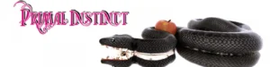 Primal Instinct